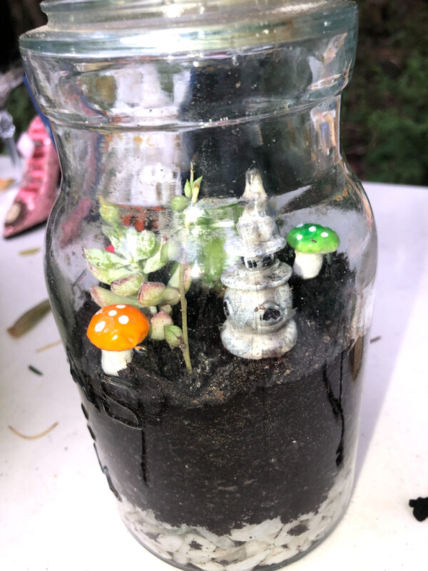 Medium Terrarium